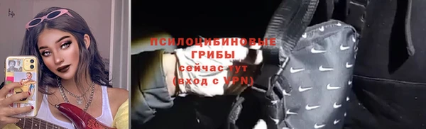 прущий лед Верея