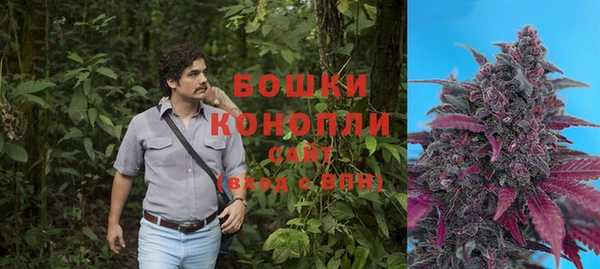 PSILOCYBIN Верхний Тагил