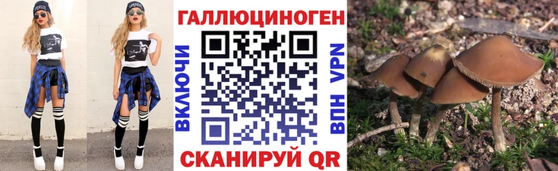Псилоцибиновые грибы ЛСД  Киренск 
