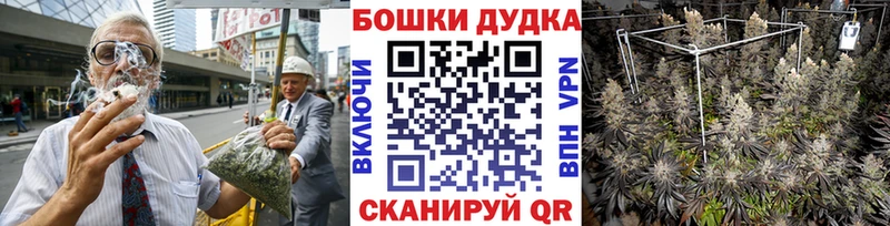 магазин    Киренск  Канабис планчик 